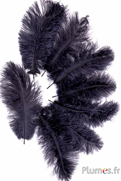 Autruche - 30-40 cm - anthracite